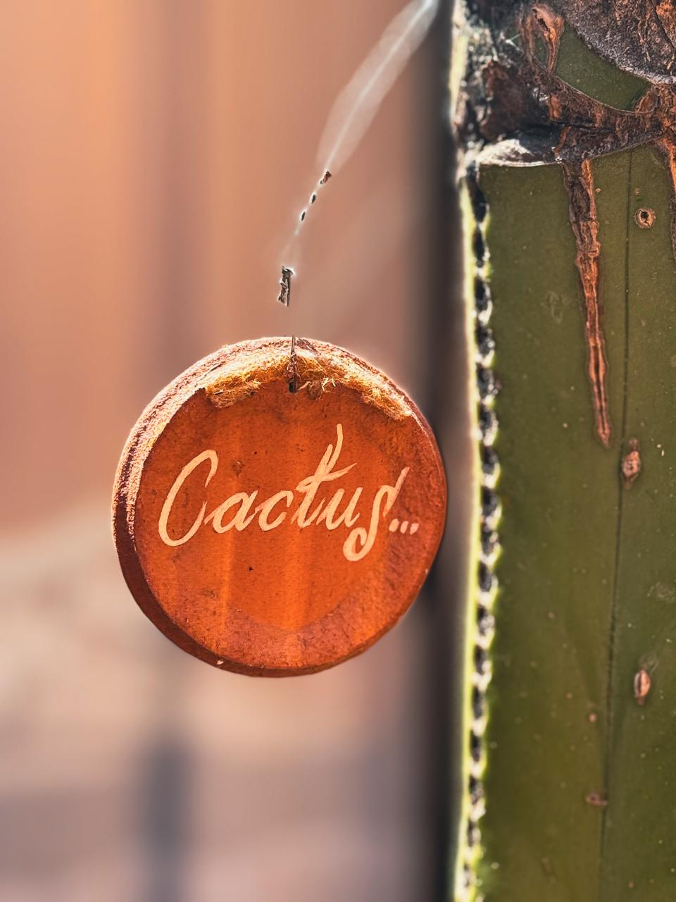 Del amor y sus deseos